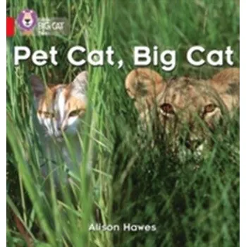 Učebnice Pet Cat, Big Cat - Hawes, Alison