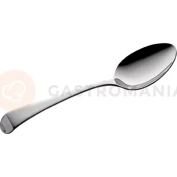 Příbor Lžíce servírovací 240 mm | TOM-GAST, T-8187