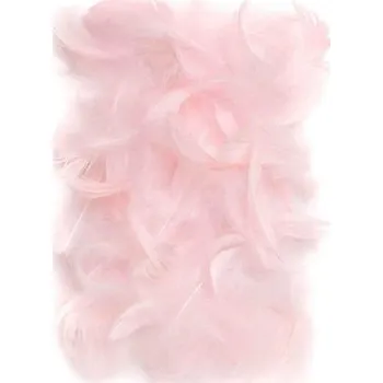 Set školních potřeb Piórka różowe 5-12cm 10g