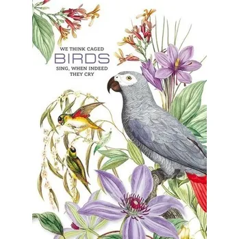 Set školních potřeb Notatnik ozdobny 165x238/80K kratka Papugi