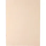 Překližka A4 - bříza 6 mm (B/BB)