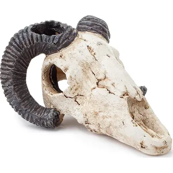 Dekorace do akvária Happet Mufloní lebka - Dekorace do akvária