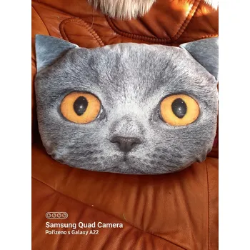 Polštář Polštář, britka