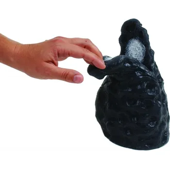 anatomický model Anatomický model kuřácké plíce Morris