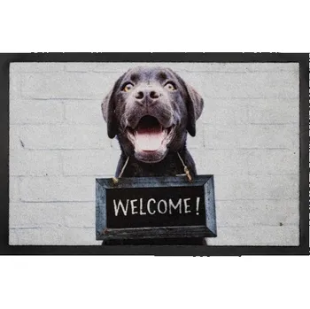 Rohožka Rohožka 585 Image 028 welcome dog Rohožka 585 Image 028 welcome dog