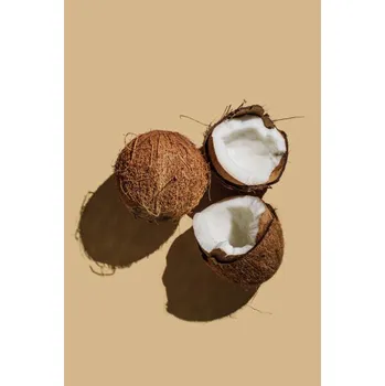 Plakát Plakát, Obraz - Ripe coconuts on beige background. Creative, Tanja Ivanova