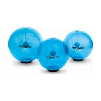 Gymnastický míč Pezzi PEZZI PendyBall, míč se závažím 4 kg, modrý, 55 cm