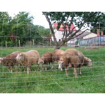 Pletivo Pastevecké pletivo Česká ohrazenka 120 cm - 2.2mm/10 drátů/250mm/50m - Vysoká Kvalita Za Skvělou Cenu