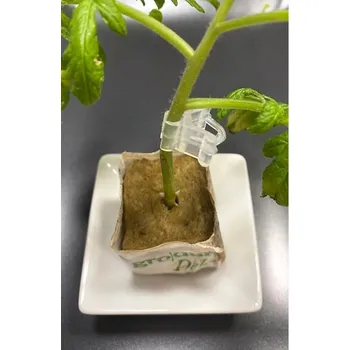 Silikonové klipsy na roubování rostlin - 20 ks