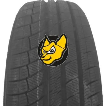Zimní osobní pneu Davanti Wintoura + 245/40 R17 95V XL M+S