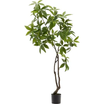 umělá květina Umělá rostlina Kave Home Pachira 180 cm