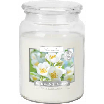 Bytová dekorace Aura vonná svíčka v dóze maxi kvetoucí jasmín