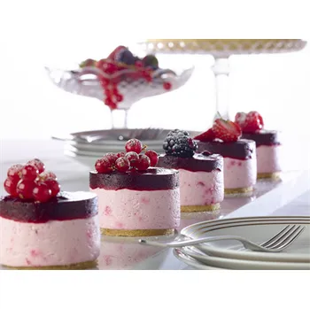 Čokoláda Dawn Přírodní ztužovač šlehačky lesní směs Hmotnost: 100 g