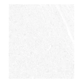 Dlažba VIVES SEINE 47DA 15 cm x 15 cm x 0,8 cm bílá 1 m2