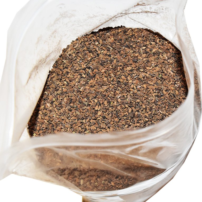 Foto Semeno Svazenka vratičolistá jednoletá 1 kg - Zbozi.cz