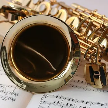 Sólo pro saxofon: Roman Fojtíček