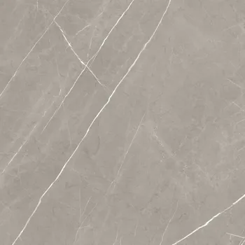 Dlažba NUEVA ALAPLANA ALURE CAM7ALURDDFA 100 x 100 x 1 šedá 1,98 m2