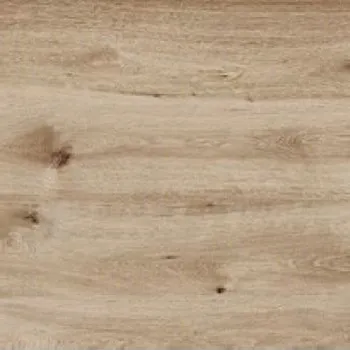 Dlažba RAGNO WOODTALE R4XH 60 cm x 60 cm x 2 cm hnědá 0,72 m2