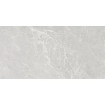 Dlažba NUEVA ALAPLANA ALLISON CAN5ALLIPDGA 60 x 120 x 1 šedá 1,43 m2