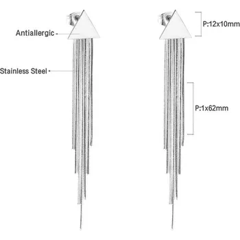 Náušnice Visací náušnice z nerezové oceli - 449S