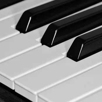 Slavní čeští klavíristé: Jan Panenka