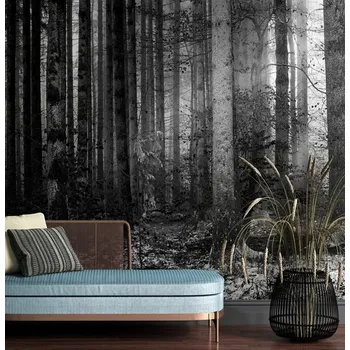 Tapeta Dovido Samolepící fototapeta černobílé tajemství lesa