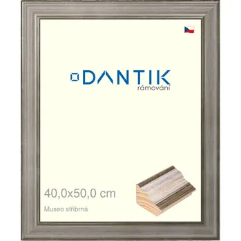 Rám na obraz DANTIK rámeček 40x50 | Museo stříbrná (Plexi Čiré) (Vyrobeno s láskou u nás v DANTIKU)
