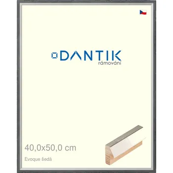 Rám na obraz DANTIK rámeček 40x50 | EVOQUE šedá (Sklo Čiré) (Vyrobeno s láskou u nás v DANTIKU)