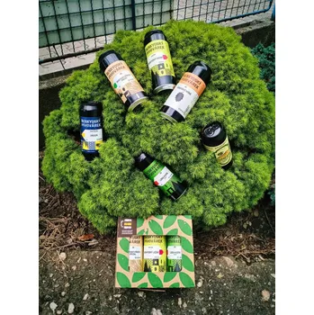 Pivo Multipack Beskydský pivovárek - Beskydský pivovárek - plech - 6x0.5L