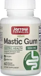 Jarrow Formulas Mastic Gum 1000 mg