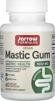 Přírodní produkt Jarrow Formulas Mastic Gum 1000 mg