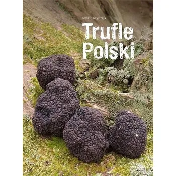 Trufle Polski - Tomasz Krzyszczyk