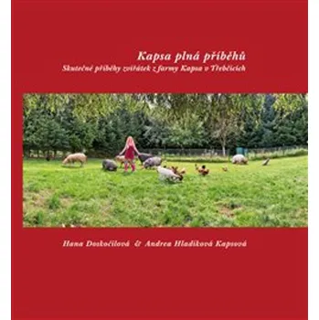 Kapsa plná příběhů - Hana Doskočilová