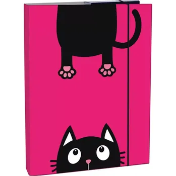 Stil Box na sešity A4, Crazy Kitten