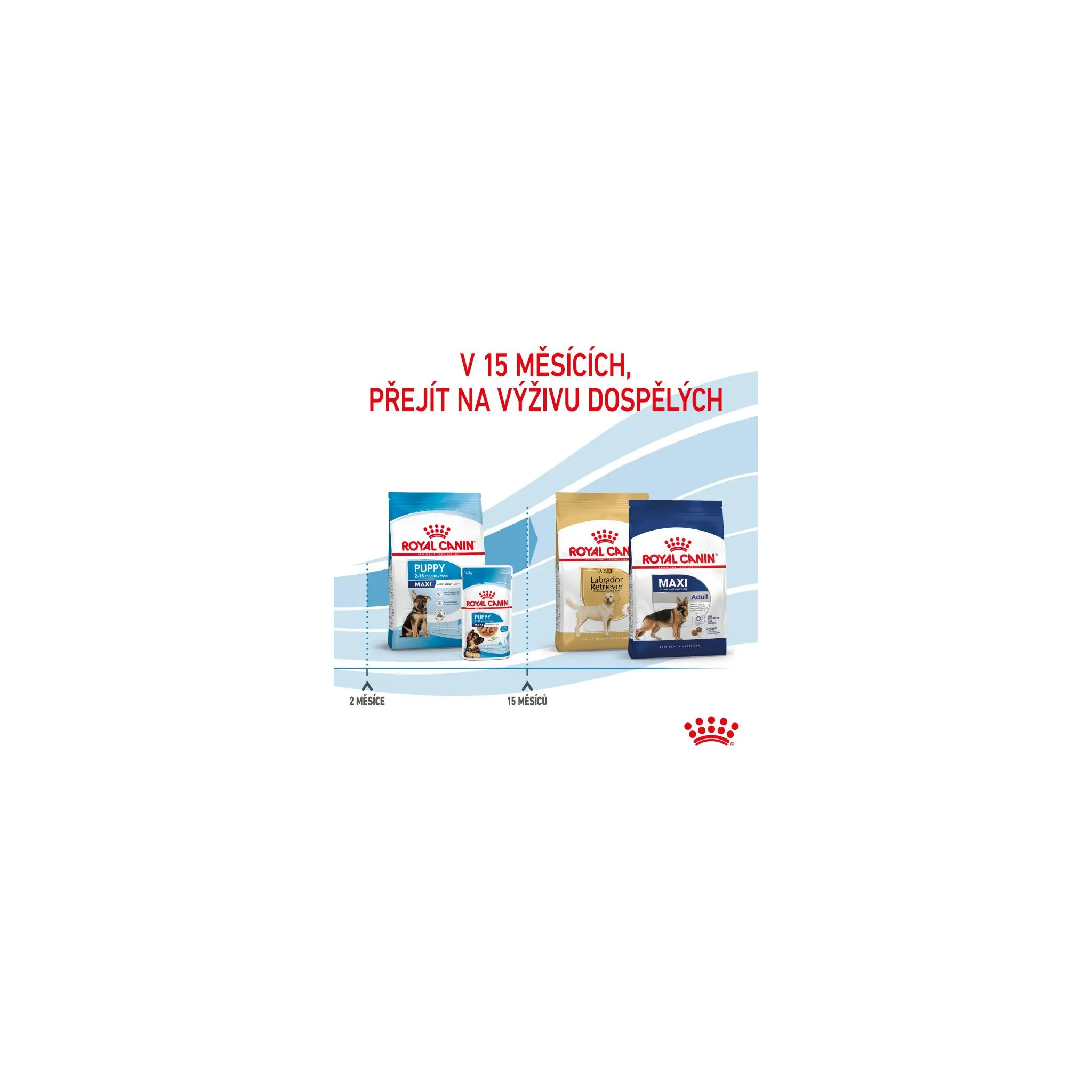 Fotografie 16 - Krmivo pro psa Royal Canin Maxi Puppy Poultry 15 kg