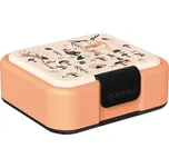 Quokka Twist Kids dělený box na svačinu 18 x 16 x 6,7 cm