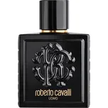 Roberto-Cavalli Panske-vune UomoEau de Toilette Spray 100 ml (14 420,00 Kč / 1 l)