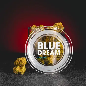 Přírodní produkt Kratom World CBG9 Květy Blue Dream 50% 2g THC do 1%