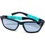 Brýle VISION POLARIZED FASHION 2331 šedá skla