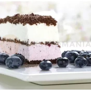 Farmaceutická surovina Stabilizátor šlehačky s příchutí borůvky a rybíz , 0,5 kg | ZEELANDIA, Zeesan Jagodowo-twarożkowy