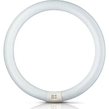 Žárovka Philips G10q 32W 865 světelný kruh Master Circular TL-E denní světlo (6 500 K)