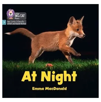 Kniha At Night - MacDonald, Emma