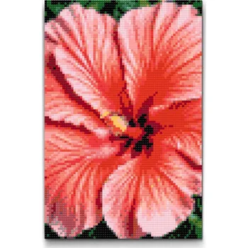 Diamantové malování Diamantové malování - Květ Ibišku Velikost: 20x30cm, Rámování: Pouze srolované plátno, Diamanty: Čtvercové