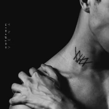 Zahraniční hudba LP coldrain: Vena 2016