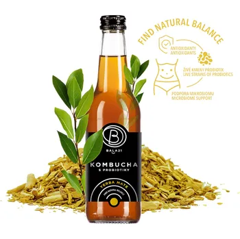 Limonáda Kombucha s probiotiky YERBA MATÉ - BALA 21 330ml