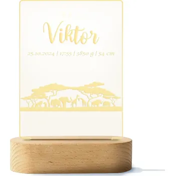Stojací lampa LED lampa s údaji o miminku - safari