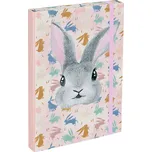 BAAGL Desky na školní sešity A5