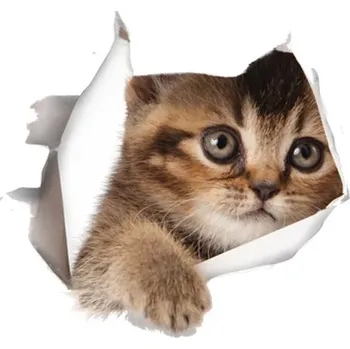 Samolepící dekorace Nálepka na zeď | 3D samolepka na zeď kočka - 16