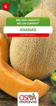 Osiva Moravia Meloun cukrový Ananas 0,5…