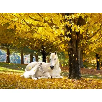 Diamantové malování Sada na diamantové malování - Klisna s hříbětem v podzimní krajině